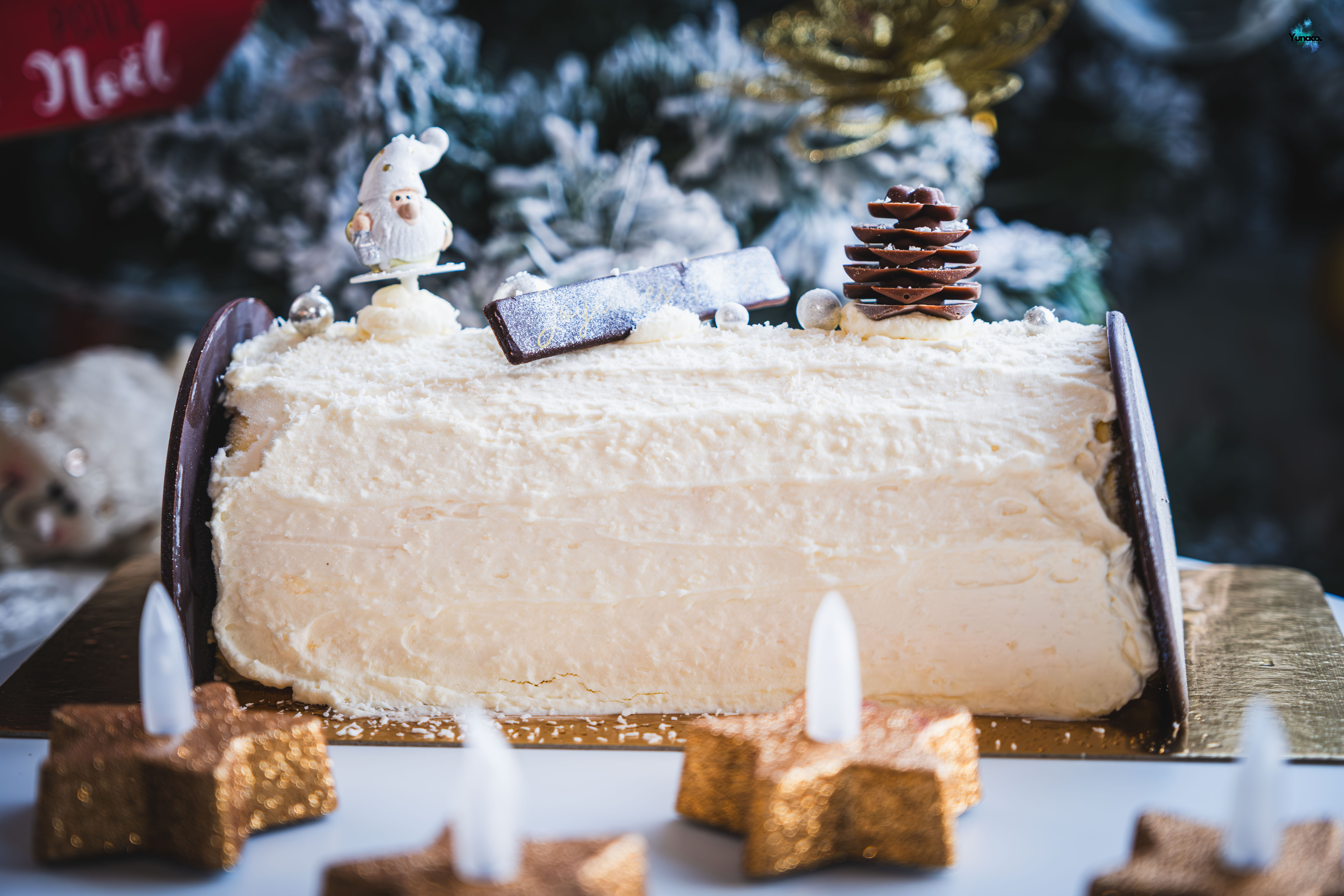 Bûche de Noël Pirnay DSCF2459