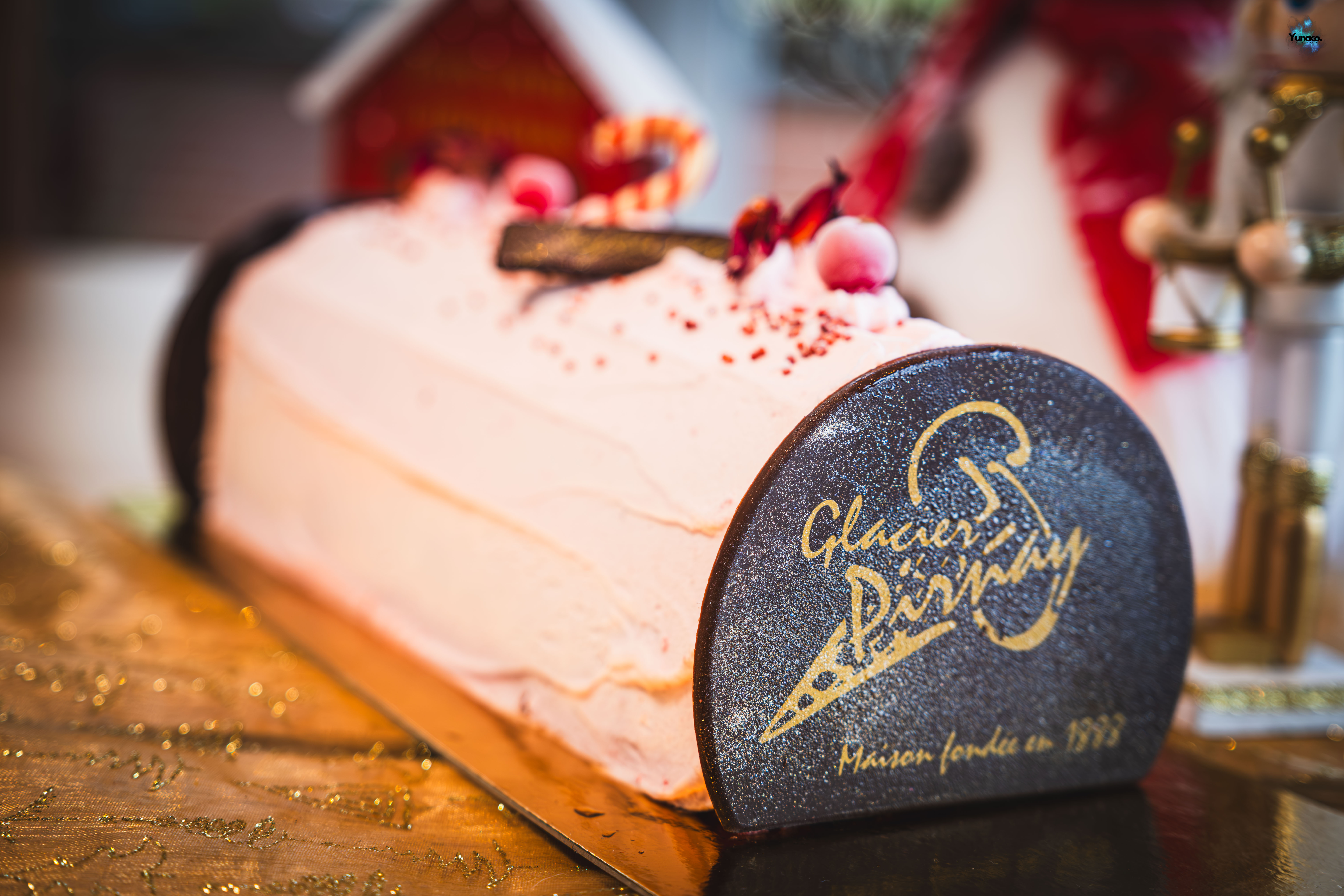 Bûche de Noël Pirnay DSCF2512