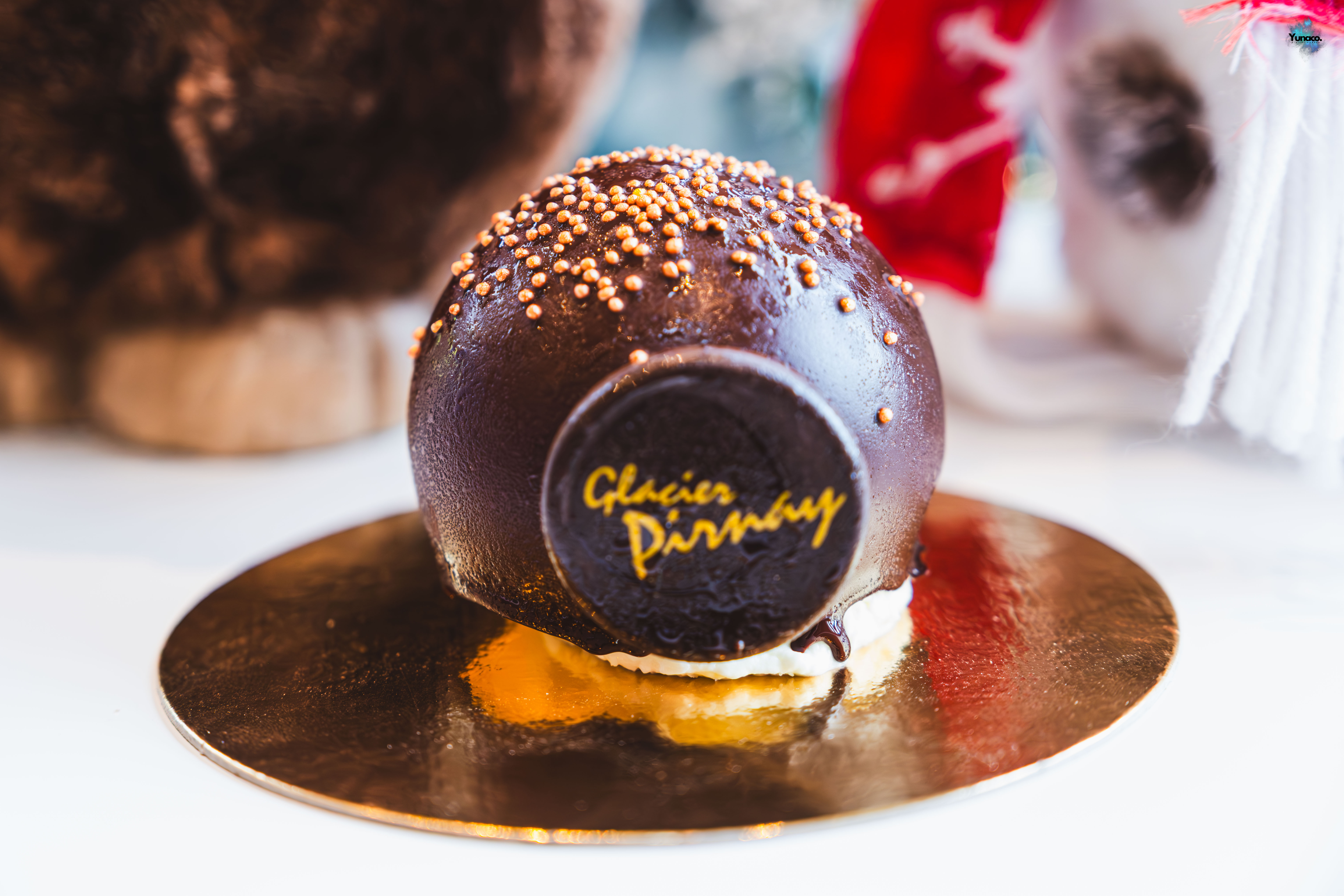 Bûche de Noël Pirnay DSCF2568