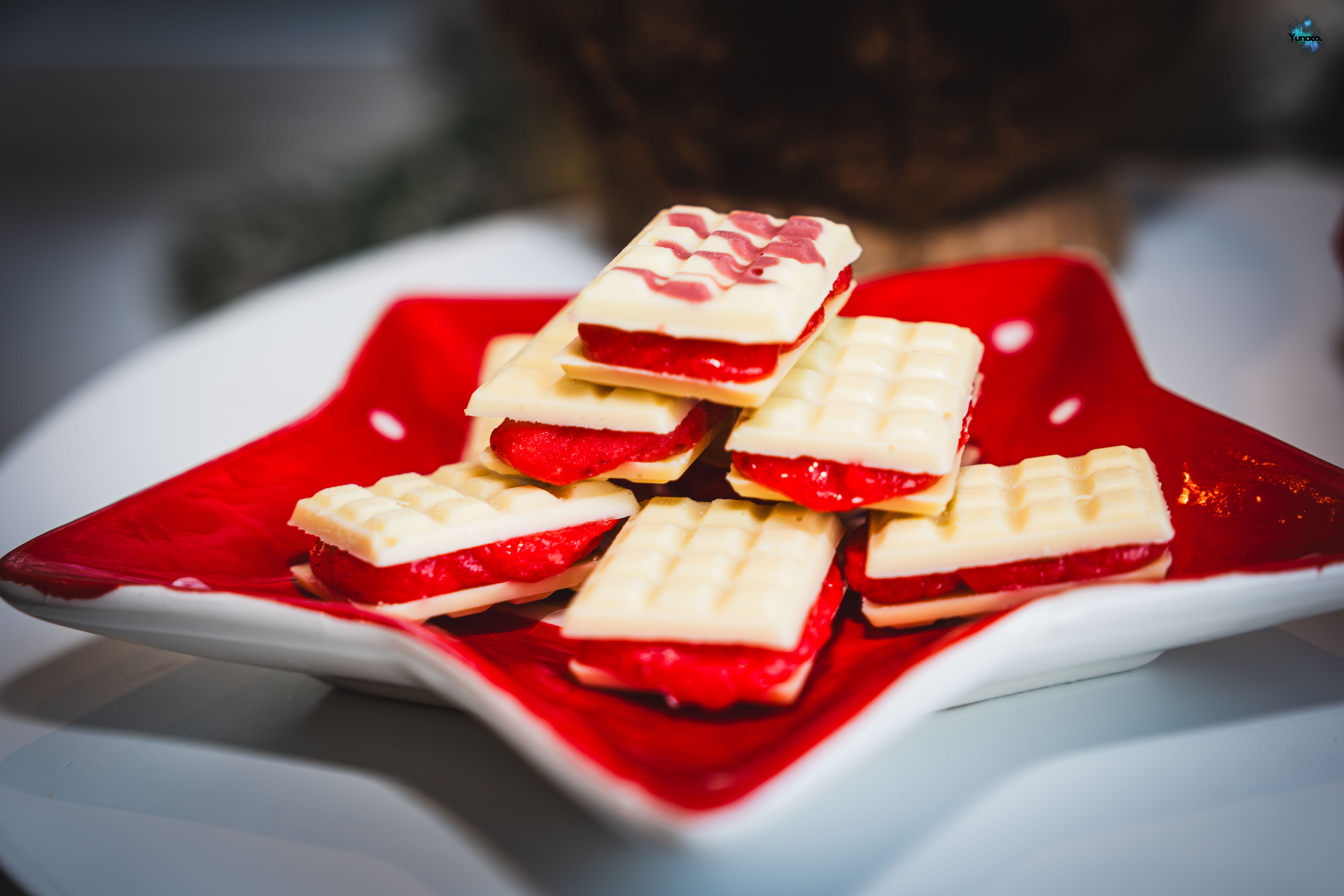 Bûche de Noël Pirnay DSCF2595