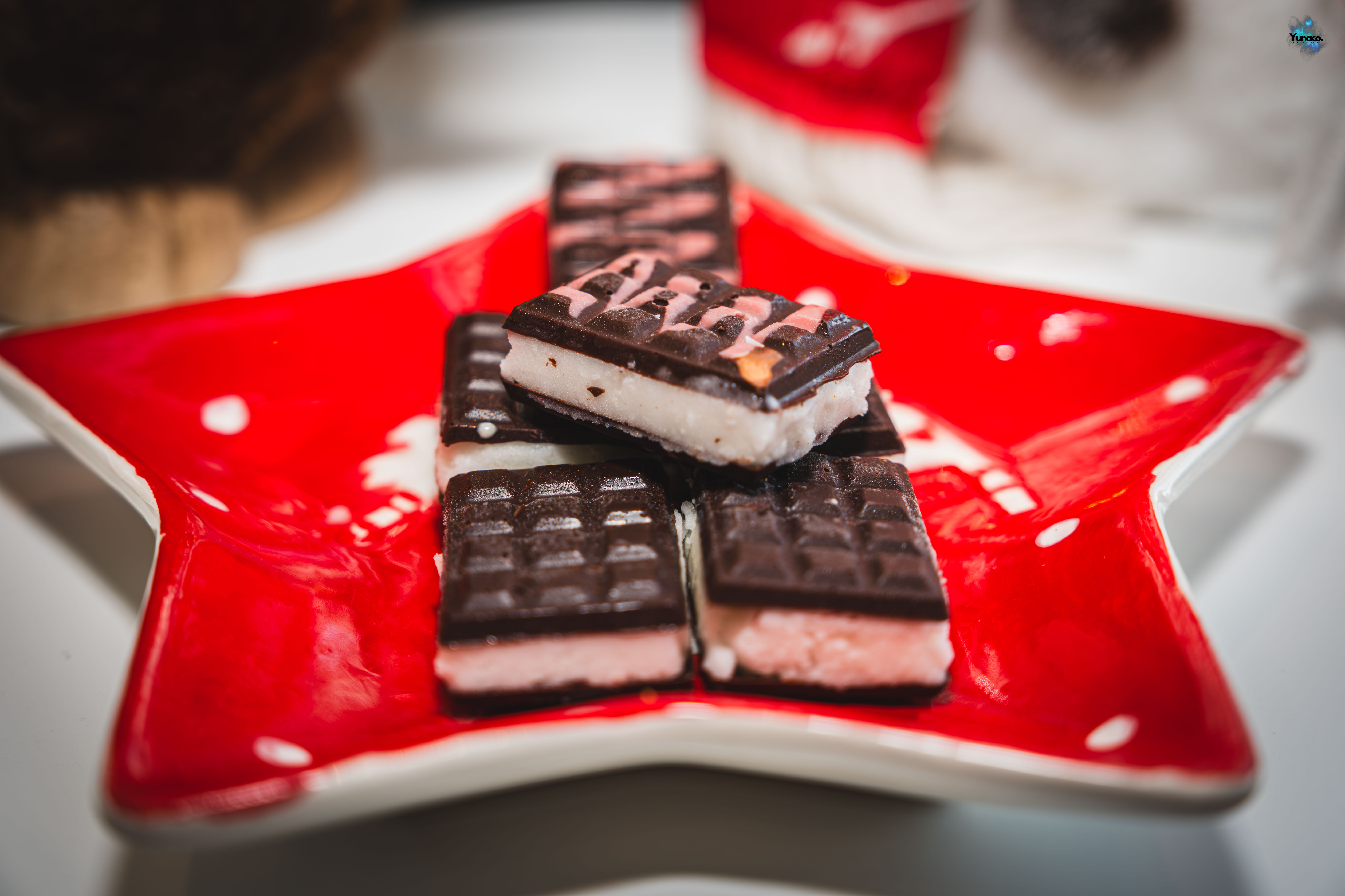 Bûche de Noël Pirnay DSCF2620